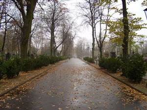 Spacer: Romologiczne spojrzenie na cmentarz bródnowski