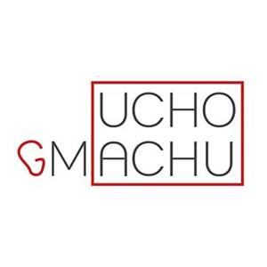 Koncert z cyklu UCHO GMACHU