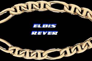 Koncert Elbis Rever