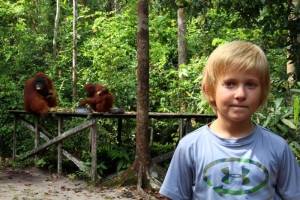 Szymon w krainie Orangutanów