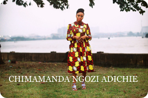 Chimananda Ngozi Adichie - Mity i postaci Afryki