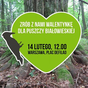 Największa w Polsce walentynka dla Puszczy Białowieskiej