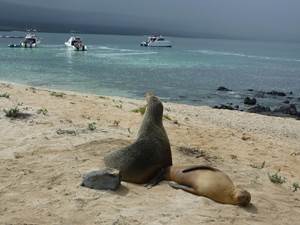 Galapagos - nie tylko żółwie - spotkanie podróżnicze