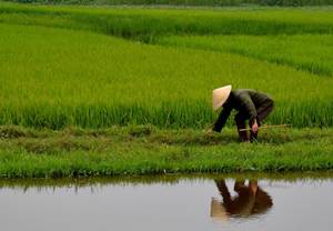 Chcę Wam zrobić smaka na Wietnam… - spotkanie podróżnicze