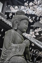 Ogrody zen, buddyjskie świątynie i kamienie miłości, czyli podróż śladami współczesnej duchowości japońskiej