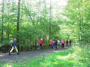 Las dla zdrowia - zajęcia zdrowy kręgosłup i Nordic walking