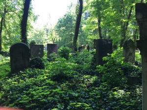 Jewish Heritage in Warsaw - porządkowanie cmentarza żydowskiego + wykład