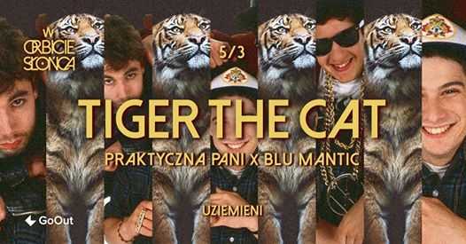 TIGER the CAT | Praktyczna Pani X Blu Mantic