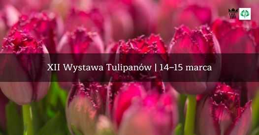 XII Wystawa Tulipanów | kiermasz, wykłady, warsztaty