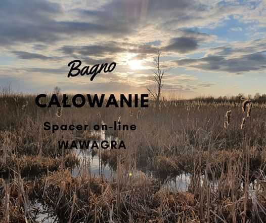 WawaGra: Bagno Całowanie i skarby z wydmy Pękatki (on-line)