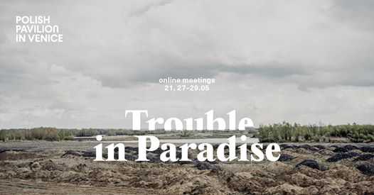 Trouble in Paradise – online meetings
