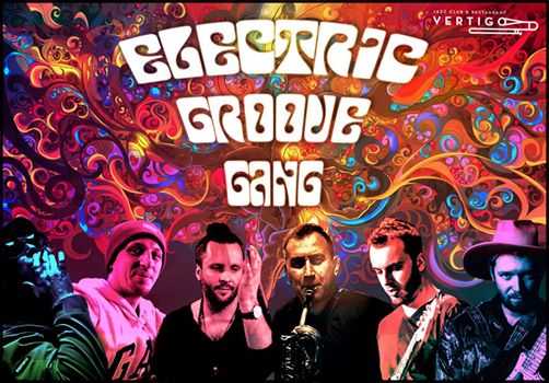 Ogrody Szarego - koncert Electric Groove Gang