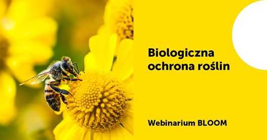 Biologiczna ochrona roślin – webinarium BLOOM