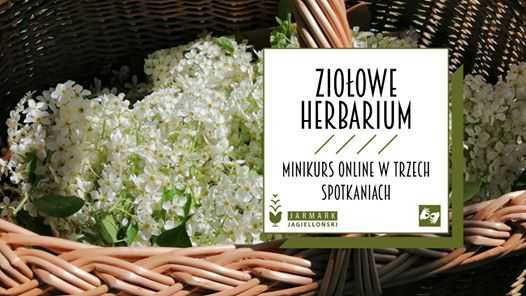 Ziołowe herbarium cz. 2 | Naucz się robić zielnik!