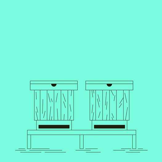 Kultura i Natura - Zajrzyjmy do ula - warsztaty pszczelarskie