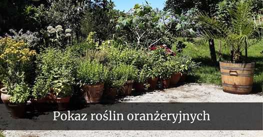 Pokaz „Wilanowska kolekcja roślin oranżeryjnych w XVIII w.”