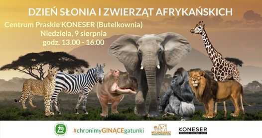 TyDzień Słonia i zwierząt afrykańskich