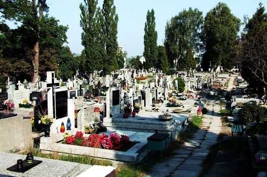 Tajemnice cmentarza wawrzyszewskiego. Spotkanie historyczne z Mateuszem Napieralskim • online