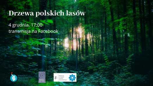 Drzewa polskich lasów