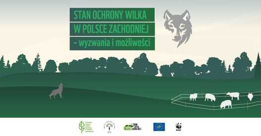 Stan ochrony wilka w Polsce Zachodniej – wyzwania i możliwości – otwarte seminarium