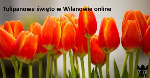 Tulipanowe święto w Wilanowie on-line