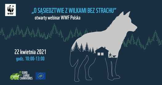 O sąsiedztwie z wilkami bez strachu - webinar WWF Polska
