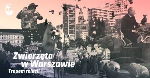 Wystawa „Zwierzęta w Warszawie. Tropem relacji”