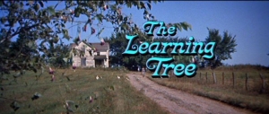 Pokaz filmu Drzewo wiadomości (The Learning Tree) 
