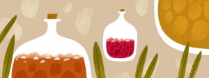 Warsztaty 'Robimy ferment' w Pokoju na lato: Scoby, czyli kultury startowe