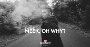 Meek, Oh Why?