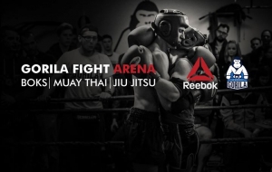 Gorila Fight Arena