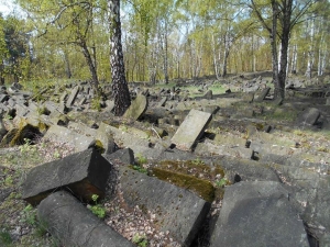Cmentarz żydowski na Bródnie - spacer i wykład