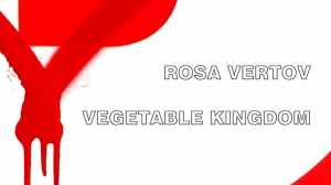 Rosa Vertov / Vegetable Kingdom / koncert w Ladomku