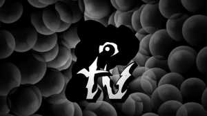 „PTV. Performans TV”, odcinek 1