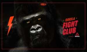 5 urodziny Academia Gorila - koncerty, fight club, DJ-e