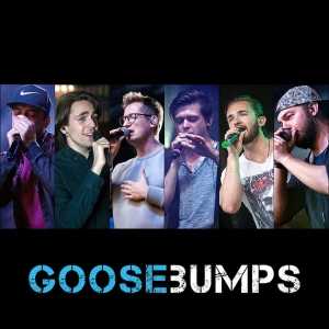 GooseBumps - Oficjalna premiera płyty zespołu