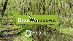 DrzeWarszawa na Saskiej Kępie: spacer szlakiem pomników przyrody