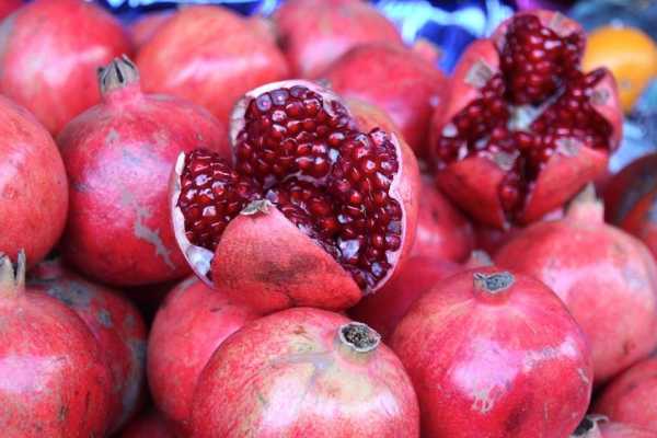 Symbolika owoców w tradycji żydowskiej