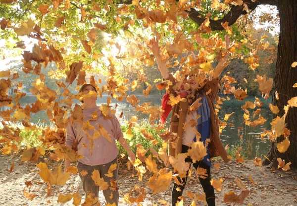 Liście w górę! Jesienny Flash Mob w Łazienkach
