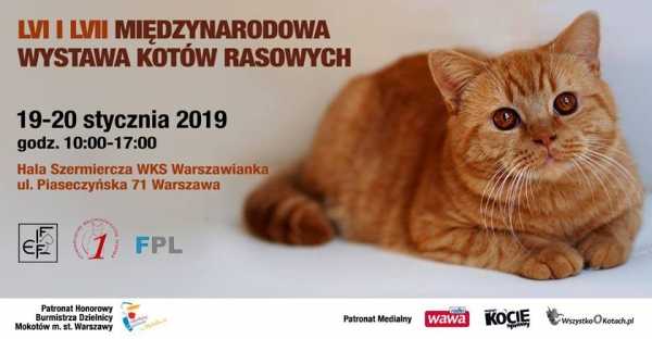 LVI i LVII Międzynarodowa Wystawa Kotów Rasowych w Warszawie