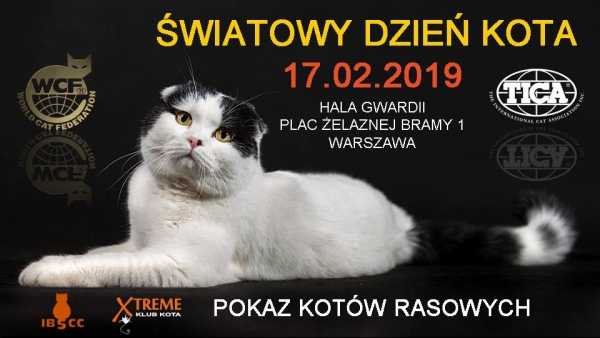 Światowy Dzień Kota - pokaz kotów rasowych