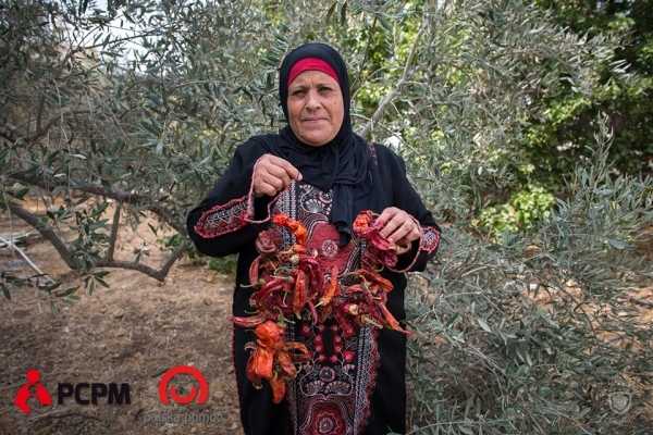 Przedsiębiorcze kobiety i innowacje w rolnictwie w Palestynie