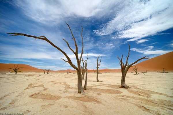 Namibia – ubaw po piachy, część druga, zapewne nie ostatnia