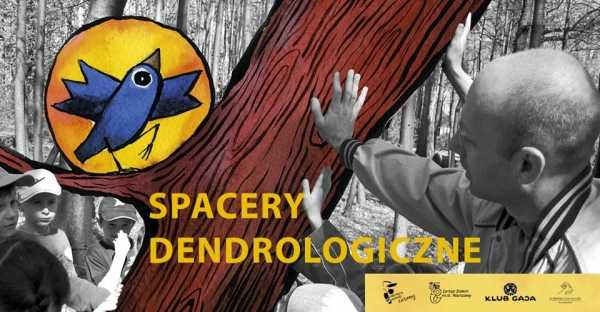 Spacer dendrologiczny