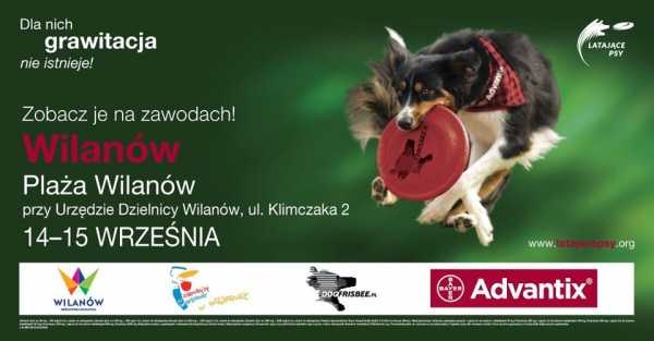 Latające Psy 16 - Warszawa 2019
