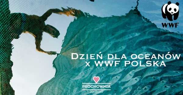 Dzień dla oceanów z WWF Polska