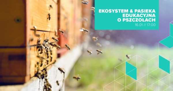 Ekosystem i Pasieka Edukacyjna o pszczołach