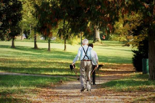 Nordic walking dla seniorów - Dolinka Służewiecka