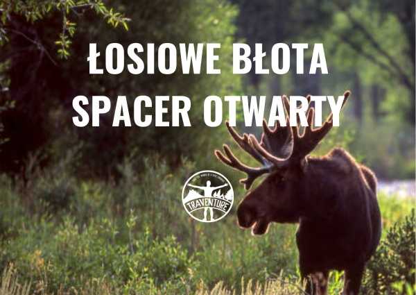 Łosiowe Błota - spacer otwarty