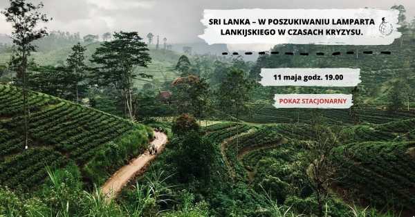 Sri Lanka – W poszukiwaniu lamparta lankijskiego w czasach kryzysu